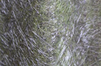 Boothsdale fibreglass roof work